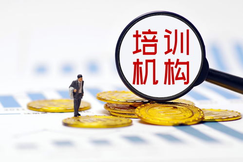 双减政策落地重塑行业生态，培训机构探寻转型之路——多家A股上市公司发文回应，公共就业服务或迎新机遇