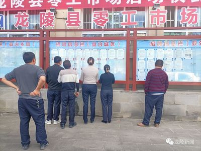 龙陵 多维度促进就业创业，高质量托稳民生幸福——职业中介服务的核心角色与创新实践