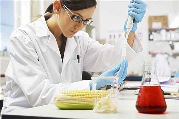 食品科学与工程专业 多元就业路径与职业中介服务赋能